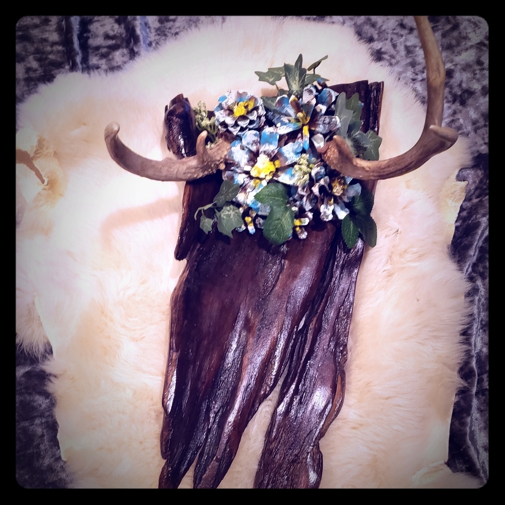 Deer antlers